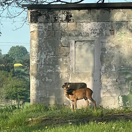 شقة Im Gruenen فيتن