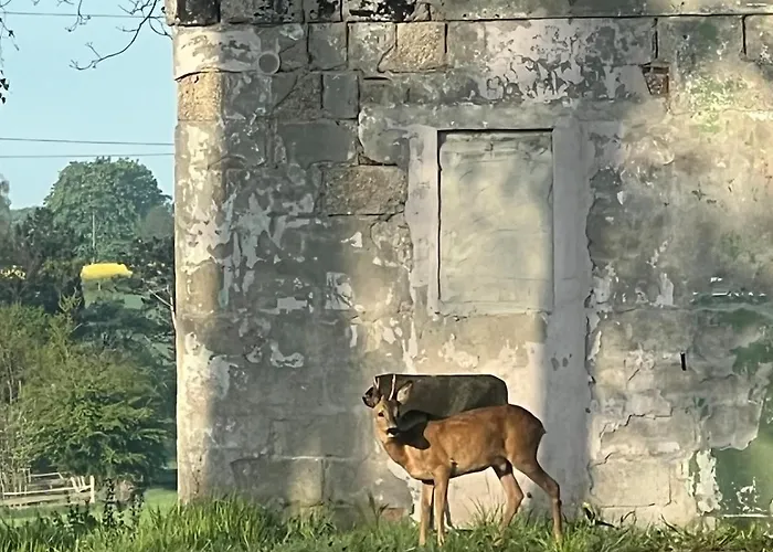 Apartament Im Gruenen Witten